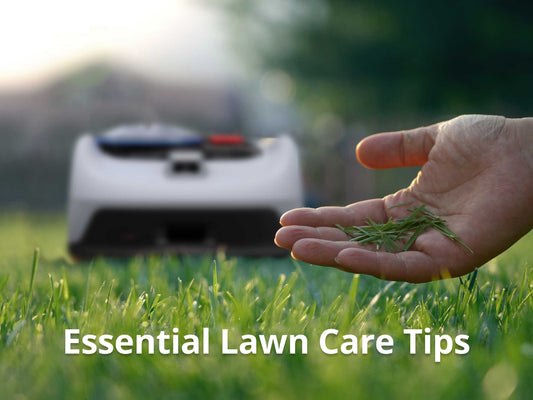 Essential Lawn Care Tips for Beginners (Don’t Miss the Last One!)